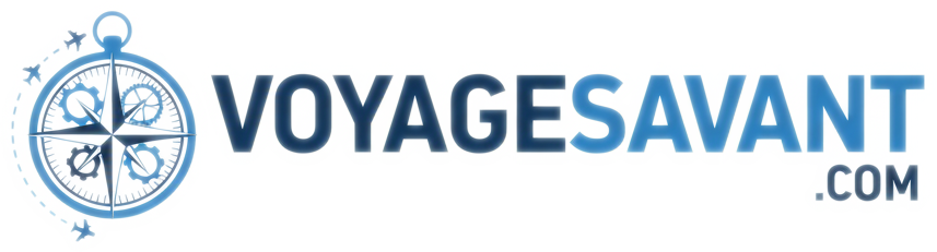 VoyageSavant Logo